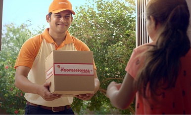 the professional couriers